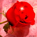 Nurjan *******