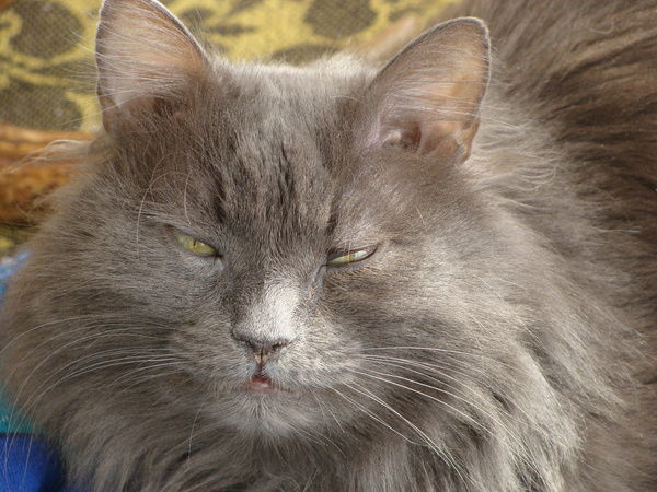 Юрик Погодин