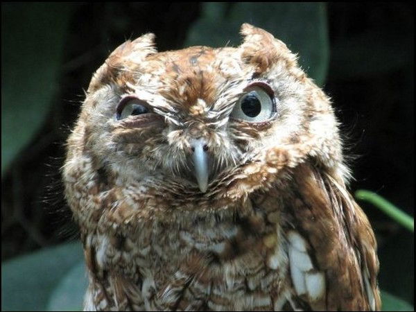 Дмитрий Михайлович