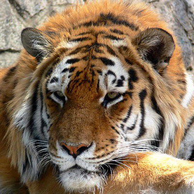 Евгений Егорочкин