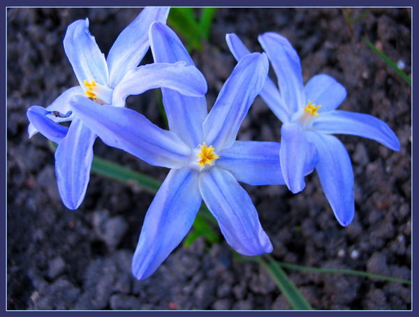 Руфина Ханнанова