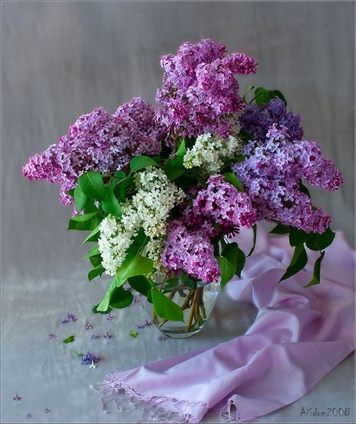 Ирина Амосова