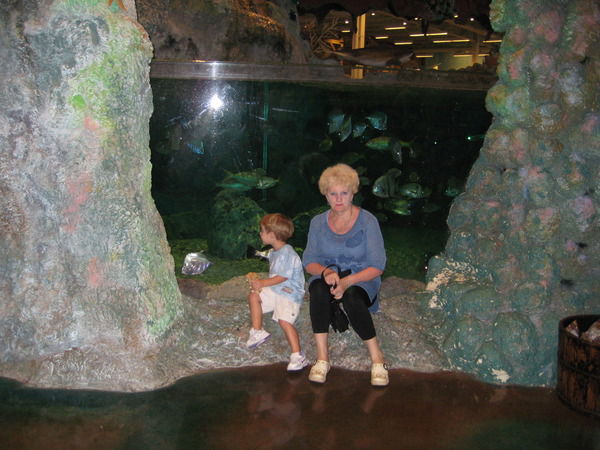 Эмилия Нежевлева