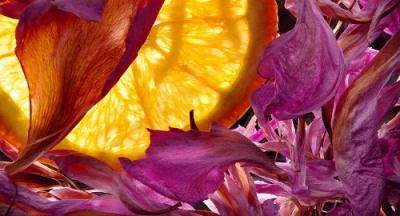 Илюза Гараева