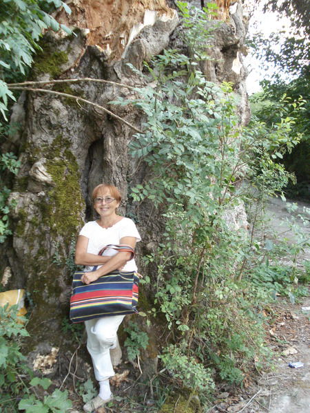 Надежда Николаева