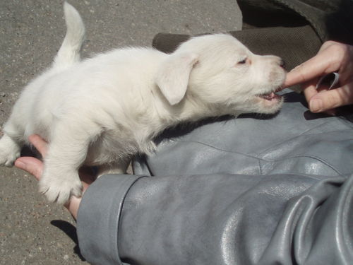 Тамара Спр.