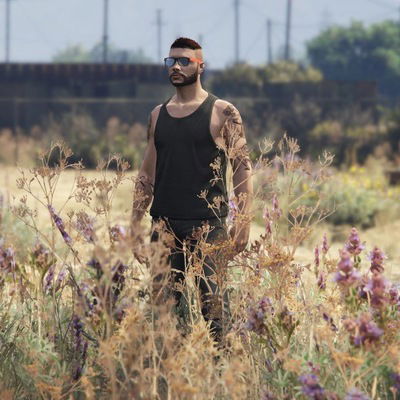 Виталик Губер