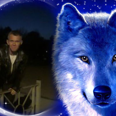 Владимир Кривошеев