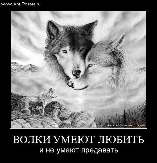 Жасулан Жаркенов