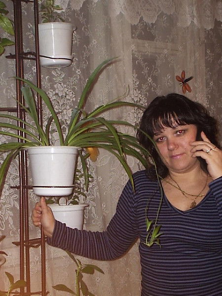 Елена Караваева