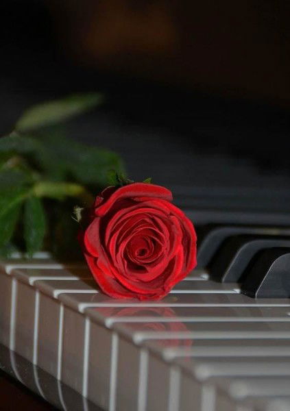 Диана Трофимова