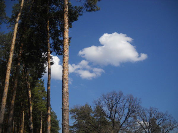 Татьяна Казёнкина