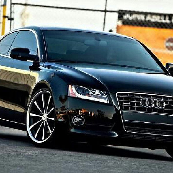 Дмитрий Петров