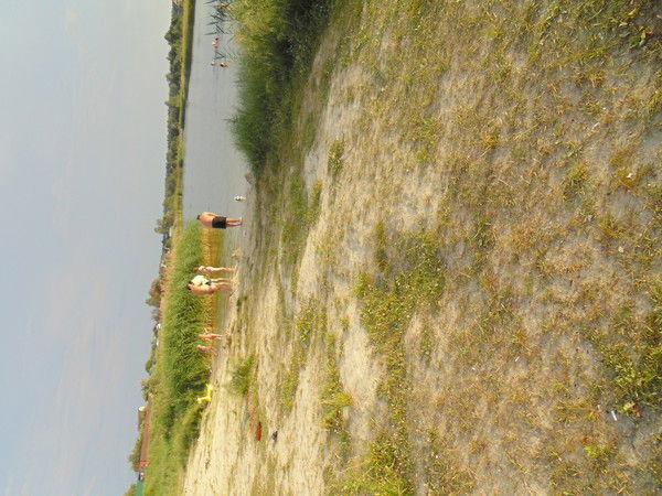 Дмитрий Федин