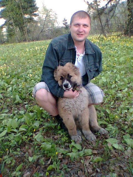 Александр Щербак