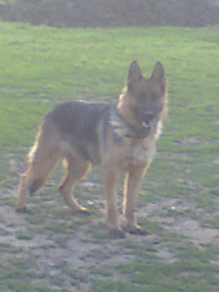 Ekaterina Bortnikova