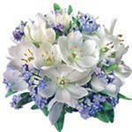 Людмила Федюкина (Петрова)