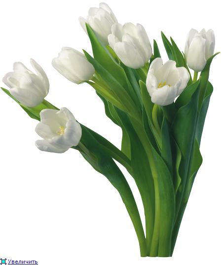 Маша Розенберг