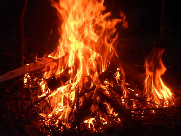 Наталья Ибраева