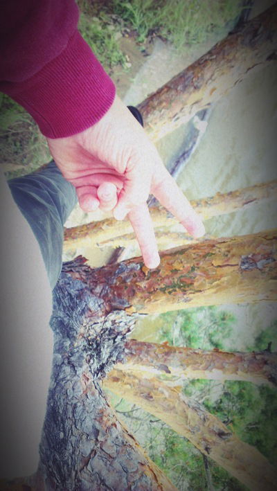 Антон Торопов