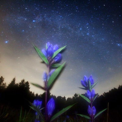 Ирина Боцман