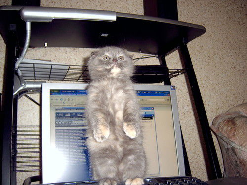 Николай Ефремов