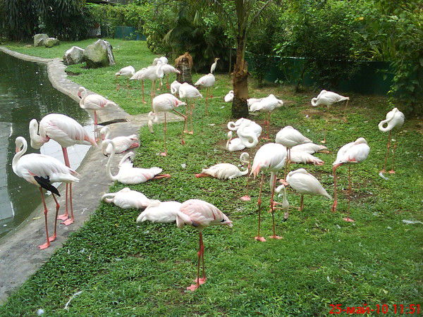 Нигора Мурадова