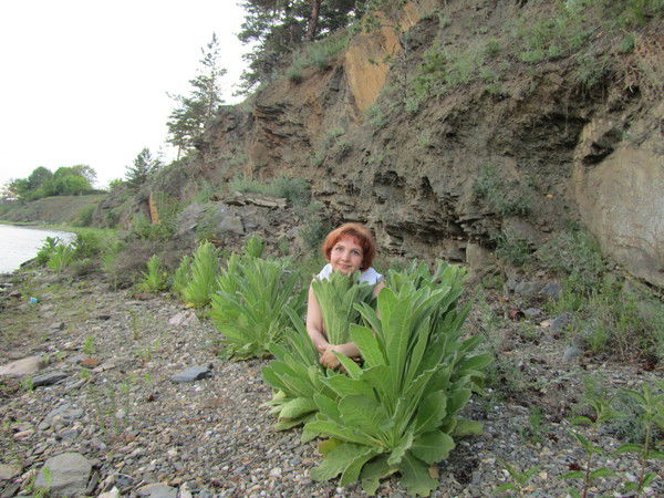 Светлана Черных