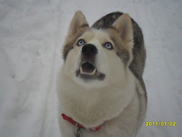 Александр Ефремов