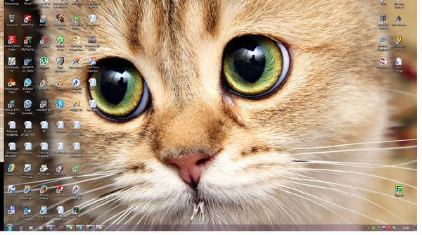 Виктор Поплавных