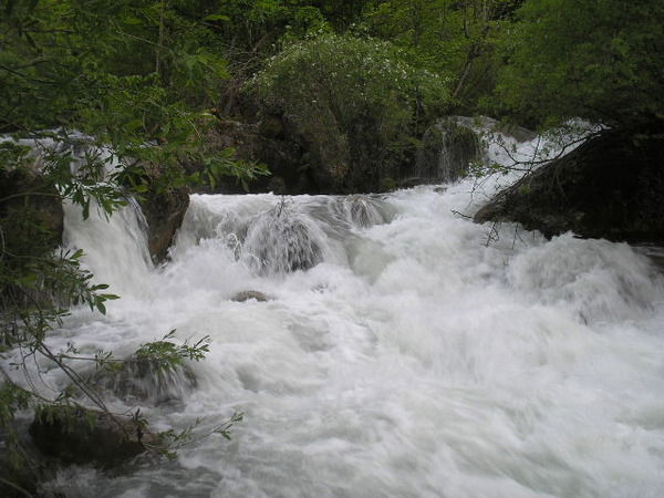 Алена Заполочнюк