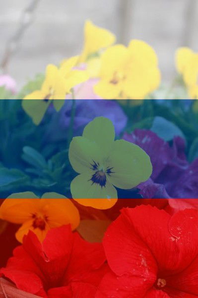 Инессик Гасина