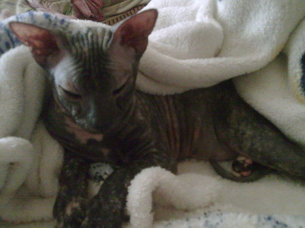 Алексей Фесик