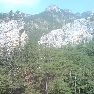 Оксана Федорова