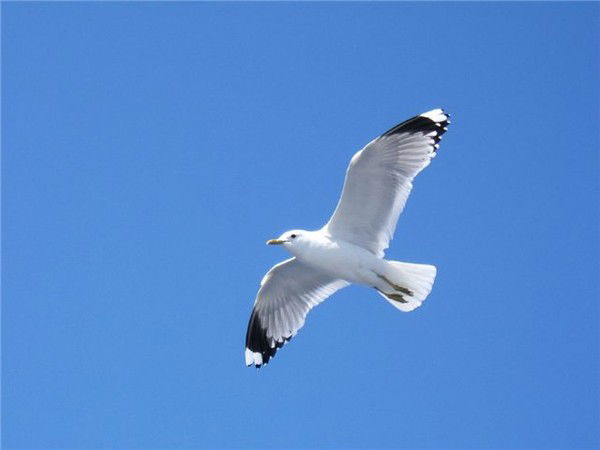 Александра Додонова