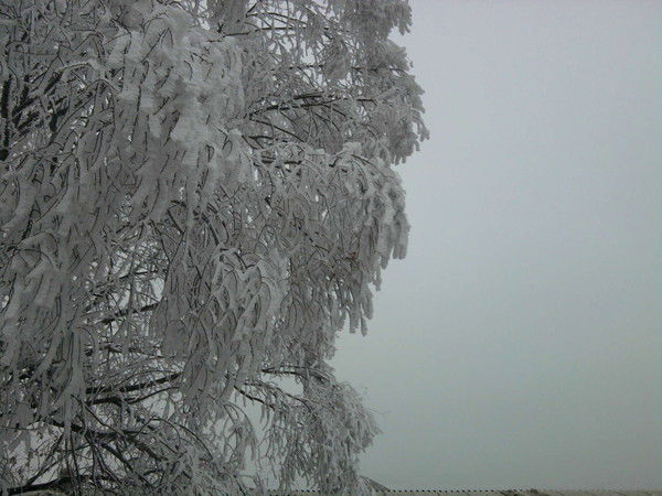 Тынчтык Элтиндиев