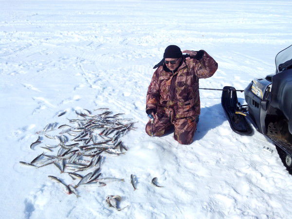 Сергей Неткачев