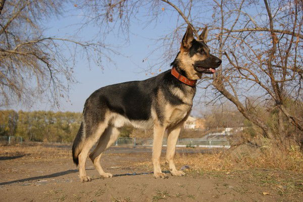 Татьяна Крохалёва