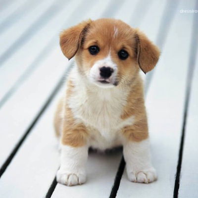 Наиля Федотова