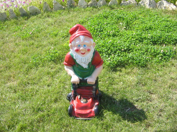 Денис Сомов