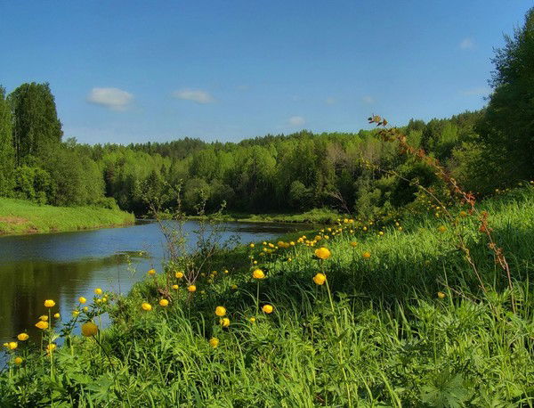 Владимир Шарапов