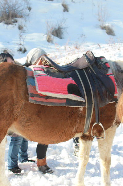 Бейбит Кунтубаев