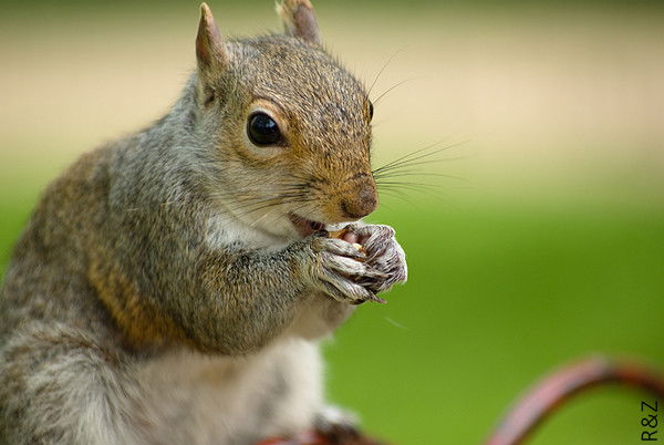 Светлана Вахнина
