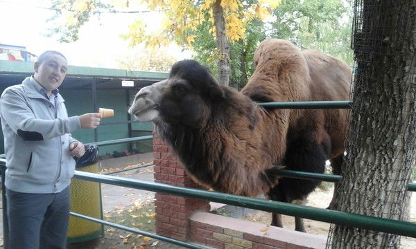 Александр Плетнев