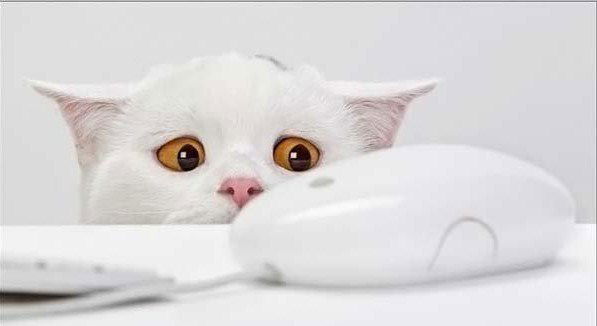 _Добавляйтесь_ _ В_ Друзья