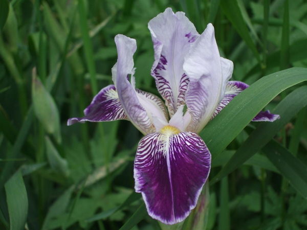 Наталья Коваленко