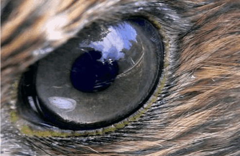 Геннадий {Ts}