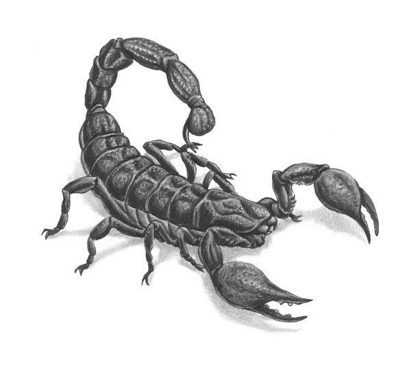 Александр Мишалкин