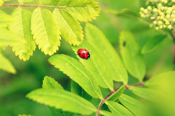 Группа Филологии