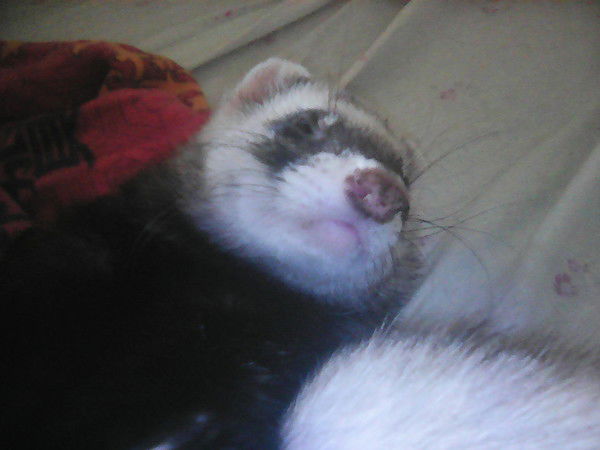 Алексей Зайцев